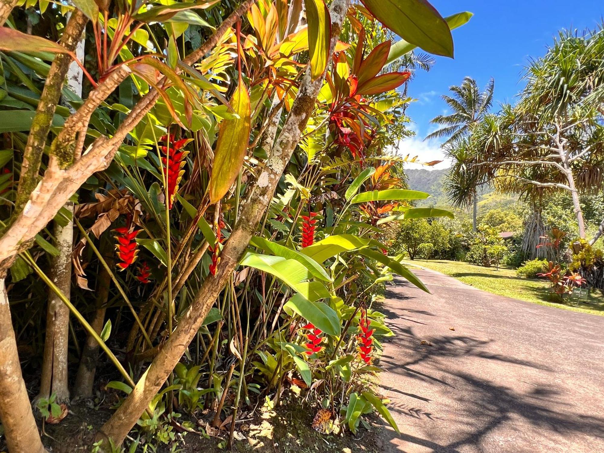 River Estate Guest House Hanalei Exterior photo