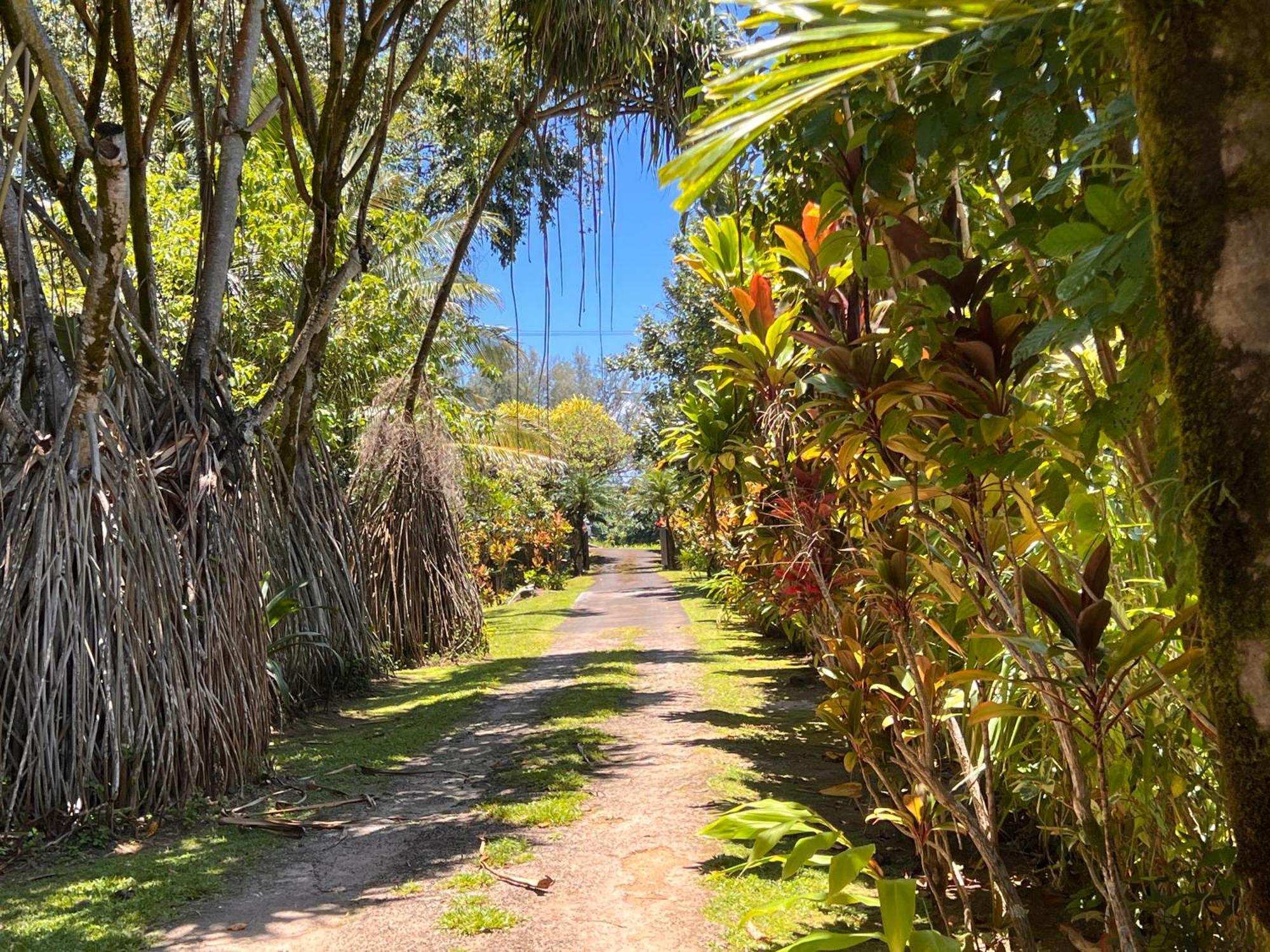 River Estate Guest House Hanalei Exterior photo