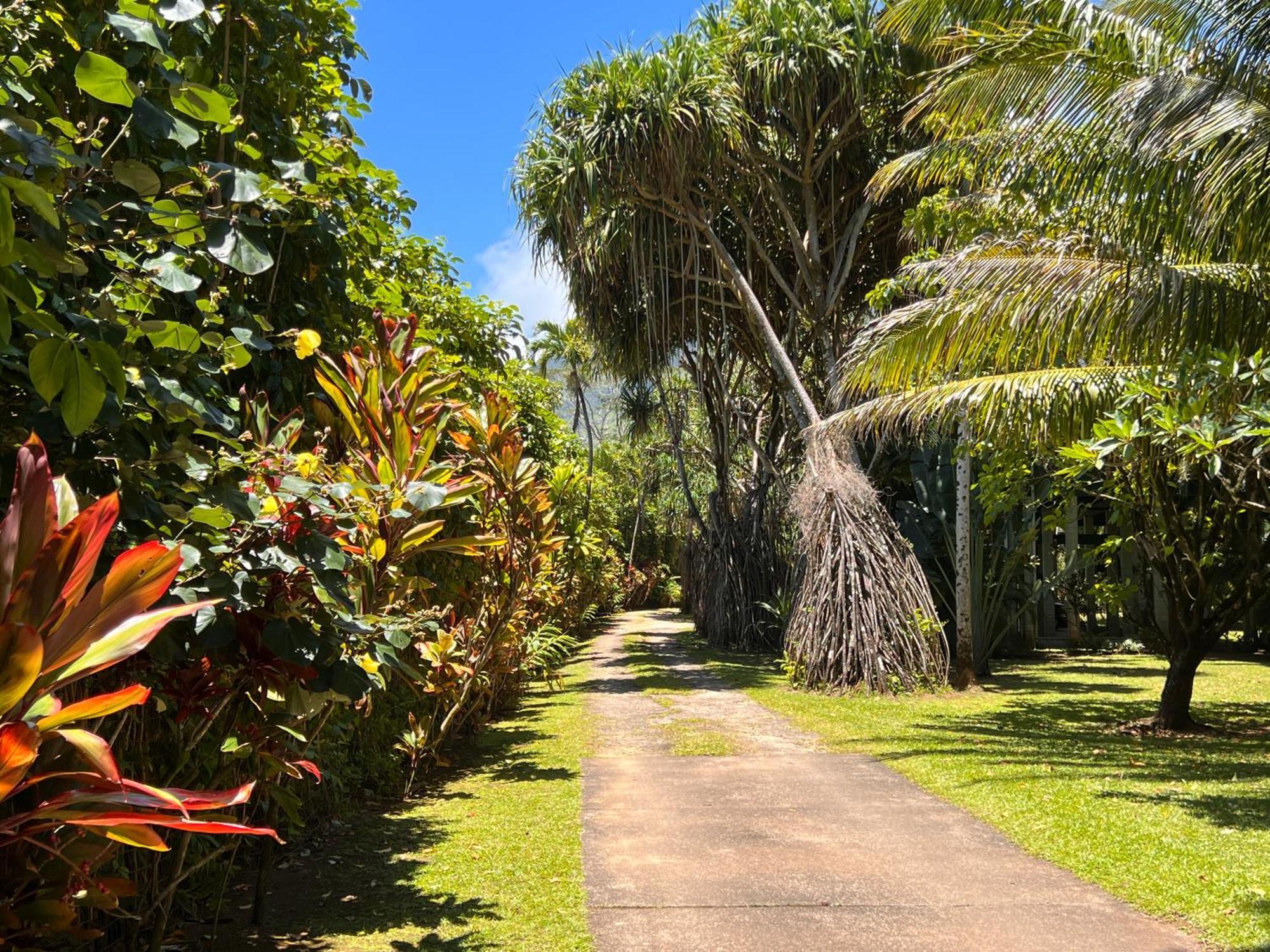 River Estate Guest House Hanalei Exterior photo