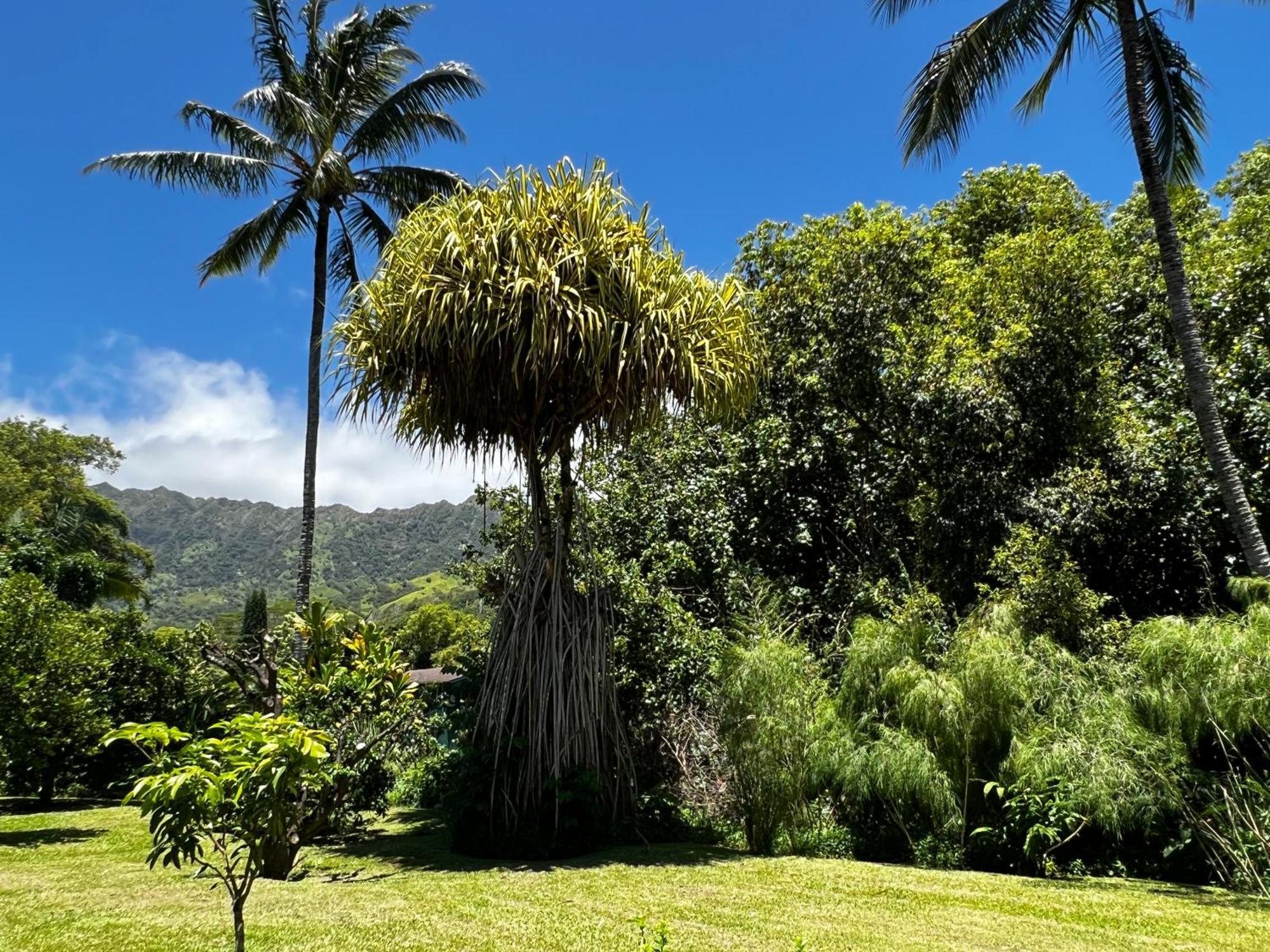 River Estate Guest House Hanalei Exterior photo