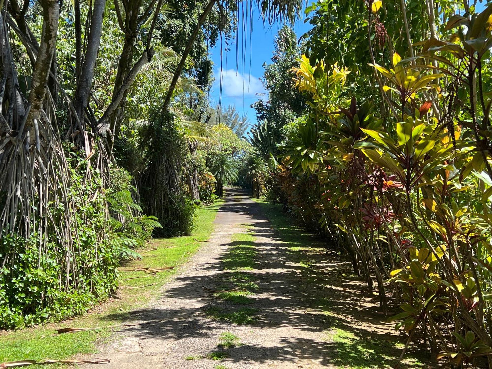 River Estate Guest House Hanalei Exterior photo