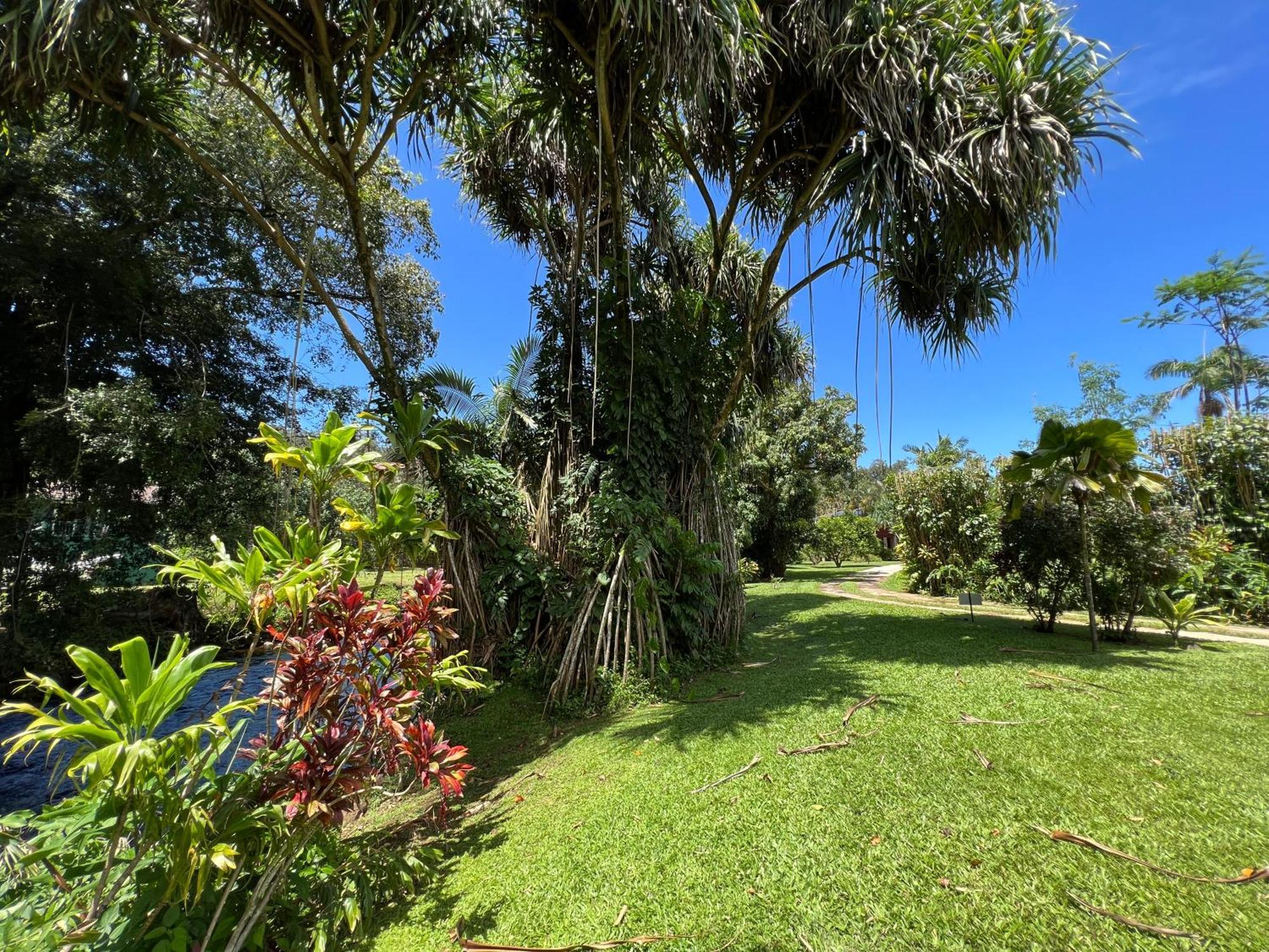 River Estate Guest House Hanalei Exterior photo